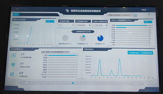 大數(shù)據(jù)如何重塑金融風控 一家信息技術(shù)咨詢企業(yè)的實戰(zhàn)解析